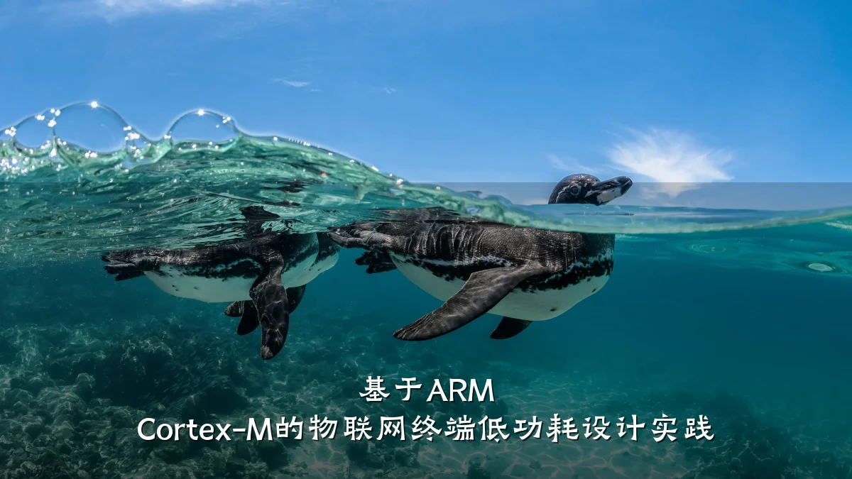 基于ARM Cortex-M的物联网终端低功耗设计实践