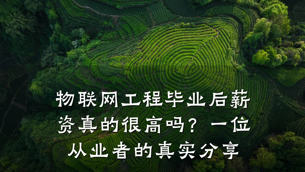 物联网工程毕业后薪资真的很高吗？一位从业者的真实分享