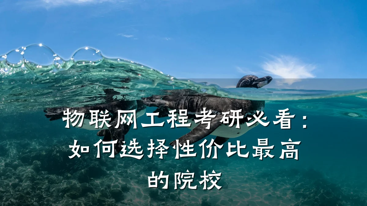 物联网工程考研必看：如何选择性价比最高的院校