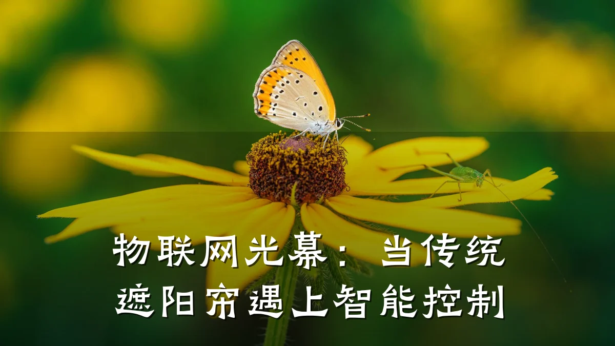 物联网光幕：当传统遮阳帘遇上智能控制