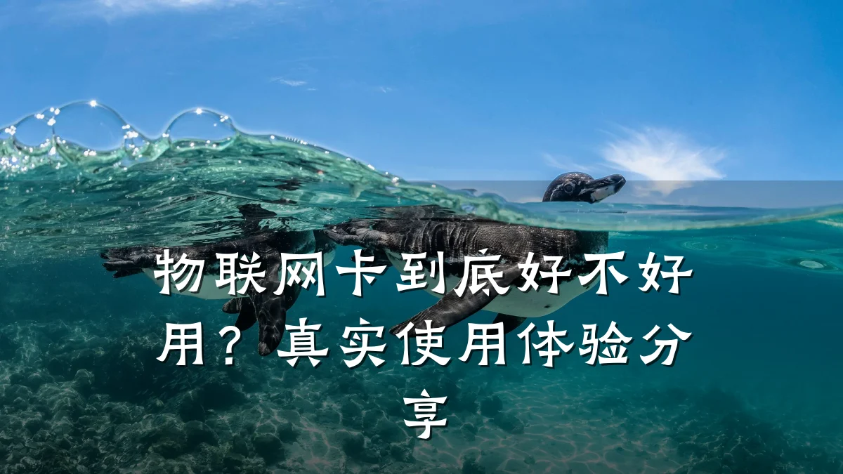 物联网卡到底好不好用？真实使用体验分享