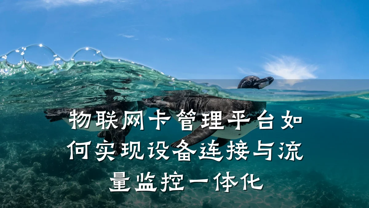 物联网卡管理平台如何实现设备连接与流量监控一体化