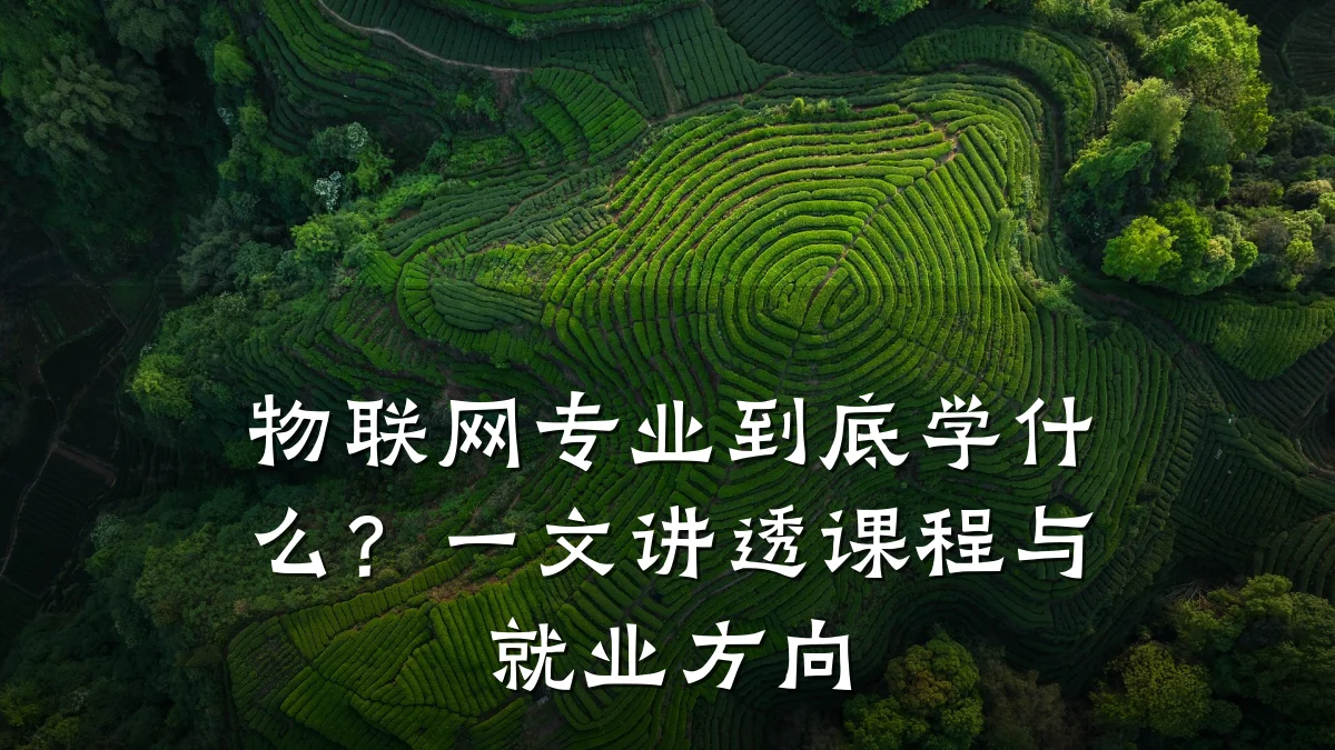 物联网专业到底学什么？一文讲透课程与就业方向
