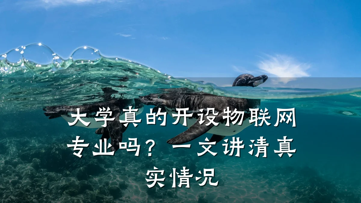 大学真的开设物联网专业吗？一文讲清真实情况