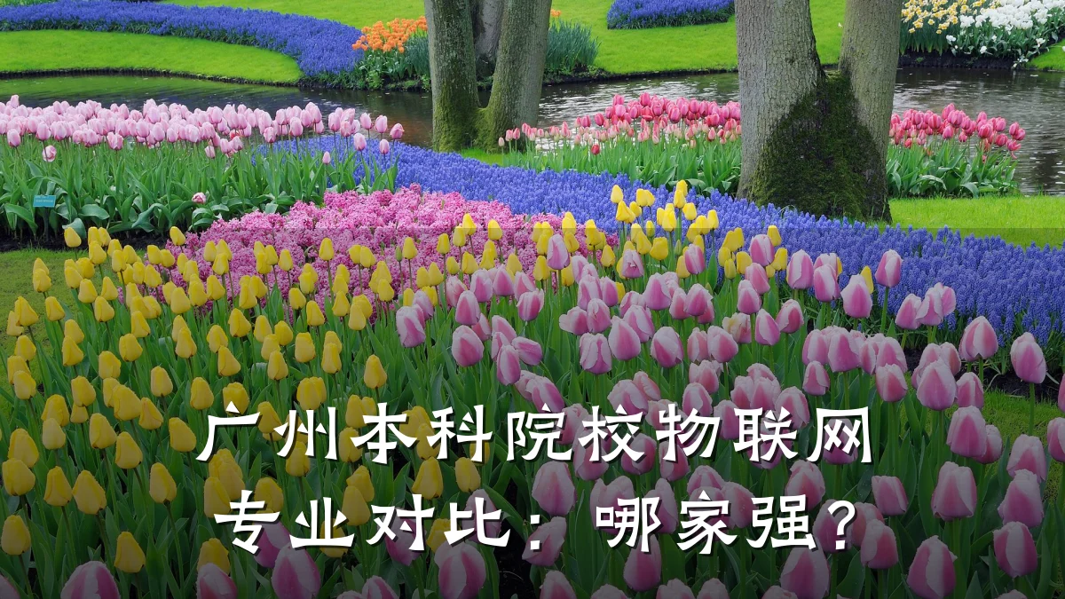 广州本科院校物联网专业对比：哪家强？