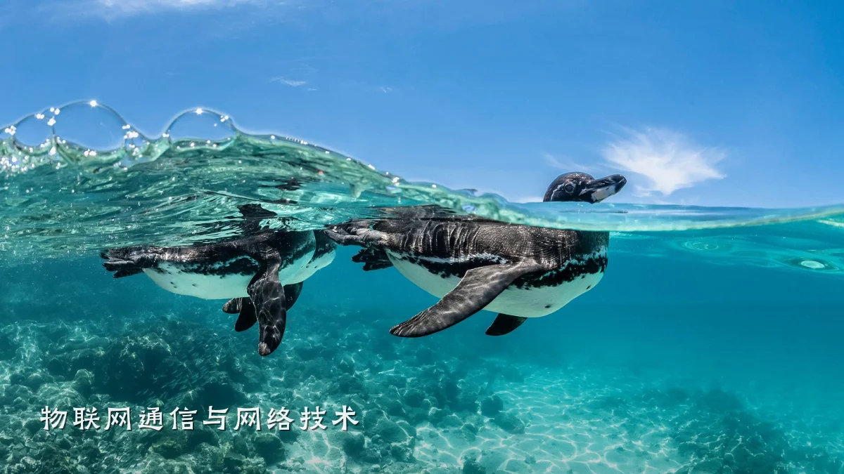 物联网通信与网络技术