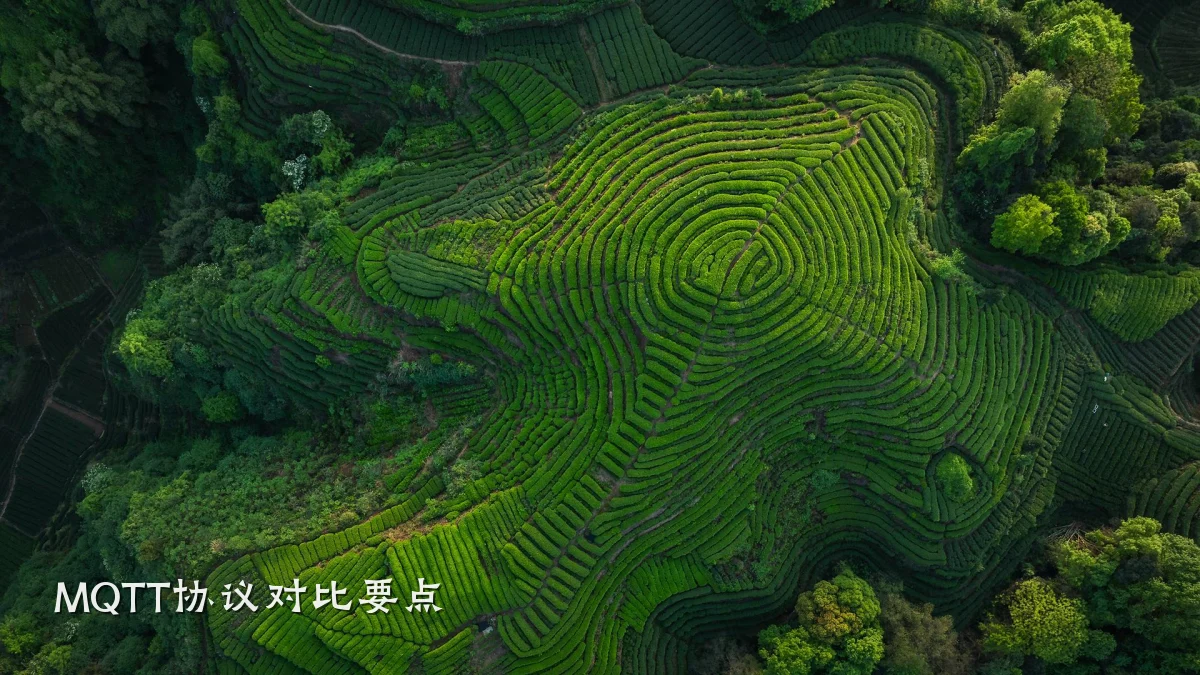 MQTT协议对比要点