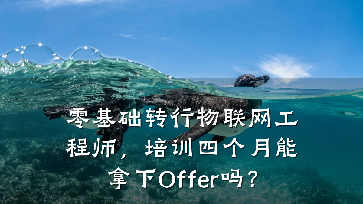 零基础转行物联网工程师,培训四个月能拿下Offer吗?
