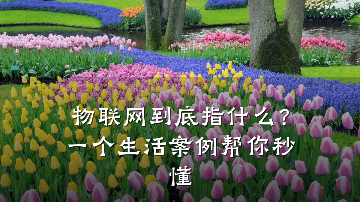 物联网到底指什么？一个生活案例帮你秒懂