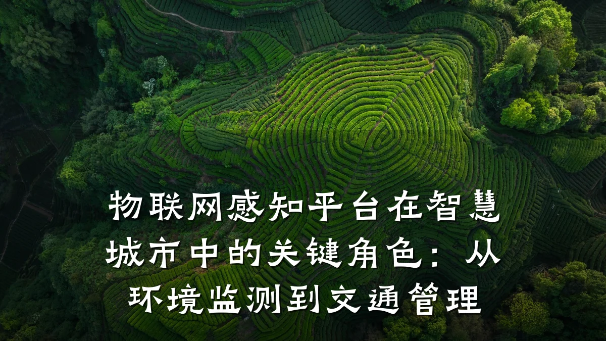 物联网感知平台在智慧城市中的关键角色：从环境监测到交通管理