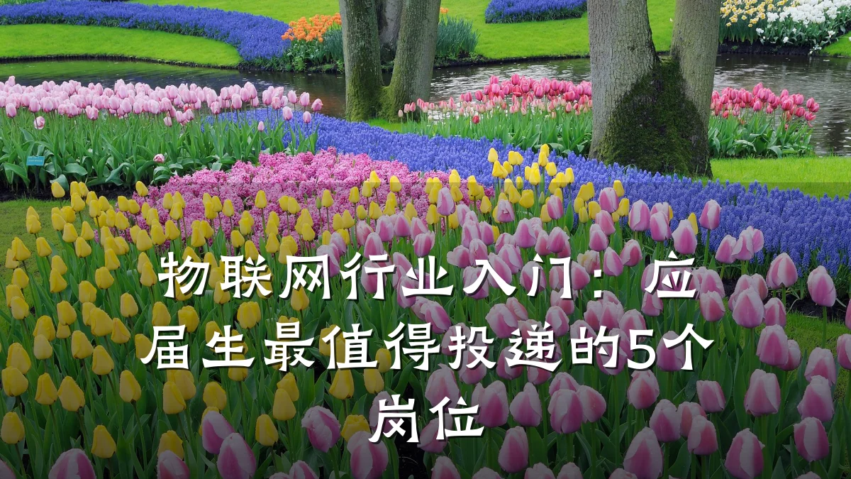 物联网行业入门：应届生最值得投递的5个岗位