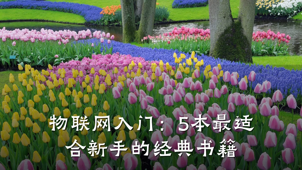 物联网入门：5本最适合新手的经典书籍
