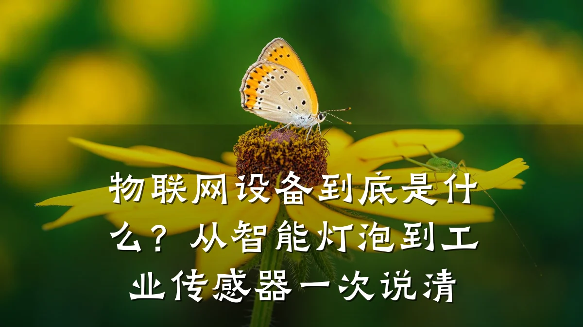 物联网设备到底是什么？从智能灯泡到工业传感器一次说清