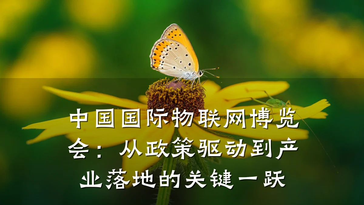 中国国际物联网博览会：从政策驱动到产业落地的关键一跃