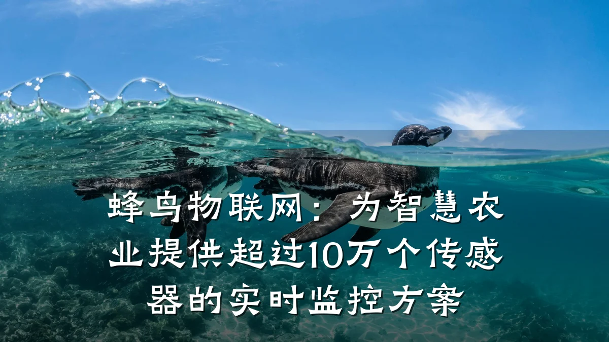 蜂鸟物联网：为智慧农业提供超过10万个传感器的实时监控方案