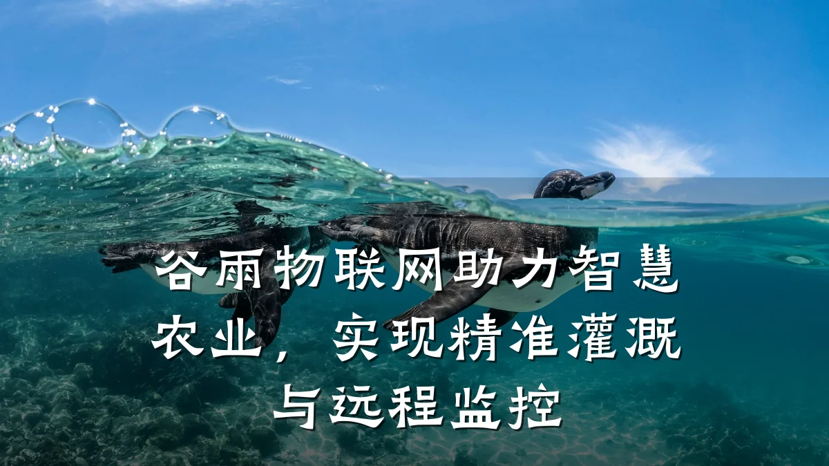 谷雨物联网助力智慧农业，实现精准灌溉与远程监控
