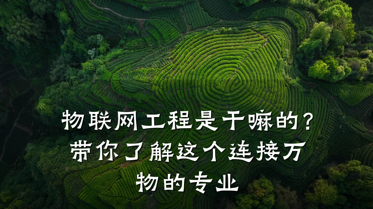 物联网工程是干嘛的？带你了解这个连接万物的专业