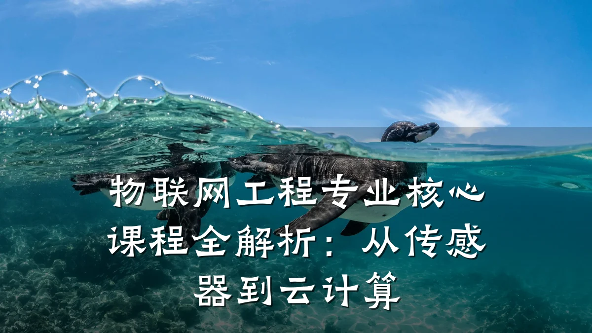 物联网工程专业核心课程全解析：从传感器到云计算