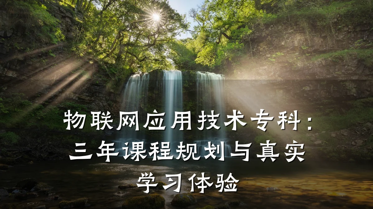 物联网应用技术专科:三年课程规划与真实学习体验