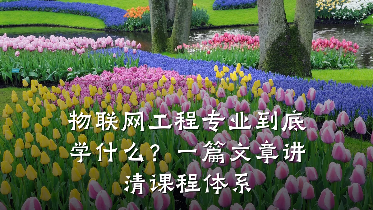 物联网工程专业到底学什么？一篇文章讲清课程体系
