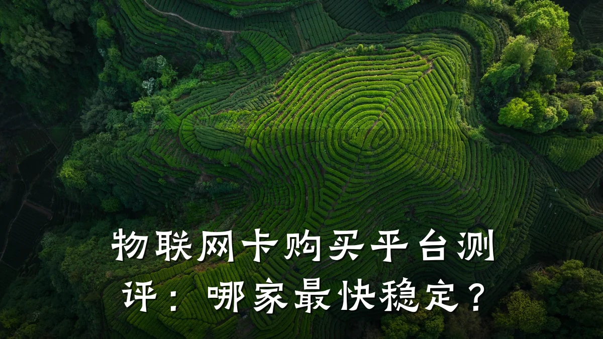 物联网卡购买平台测评：哪家最快稳定？