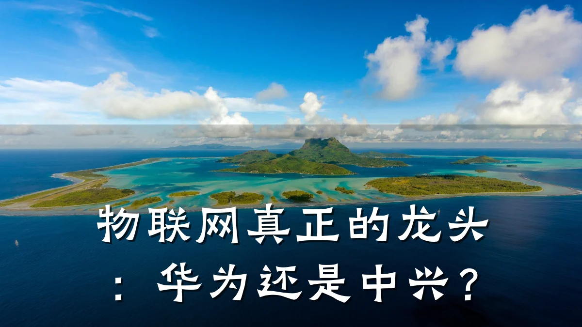 物联网真正的龙头：华为还是中兴？