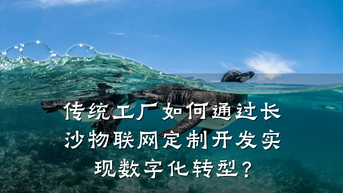 传统工厂如何通过长沙物联网定制开发实现数字化转型？