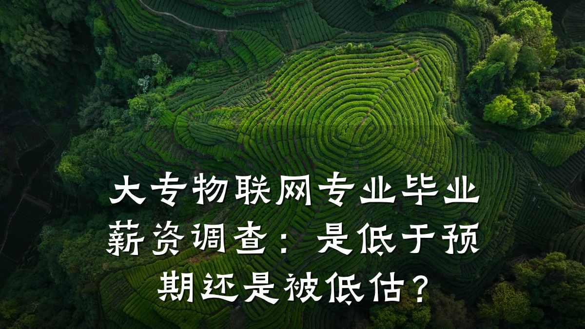 大专物联网专业毕业薪资调查：是低于预期还是被低估？