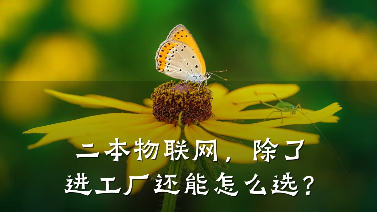 二本物联网，除了进工厂还能怎么选？