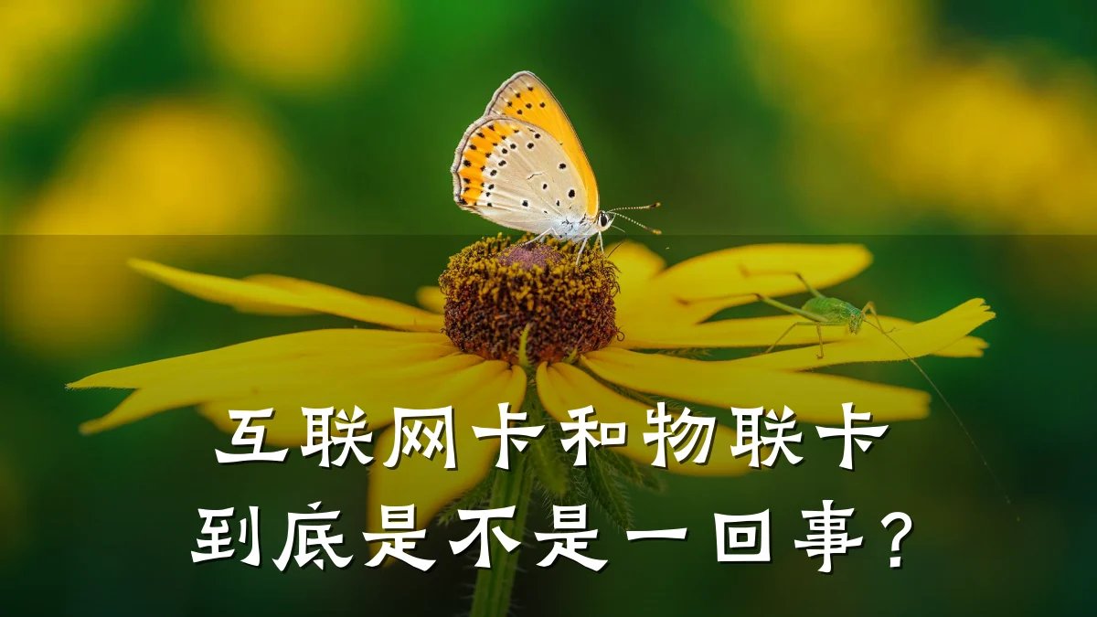互联网卡和物联卡到底是不是一回事？