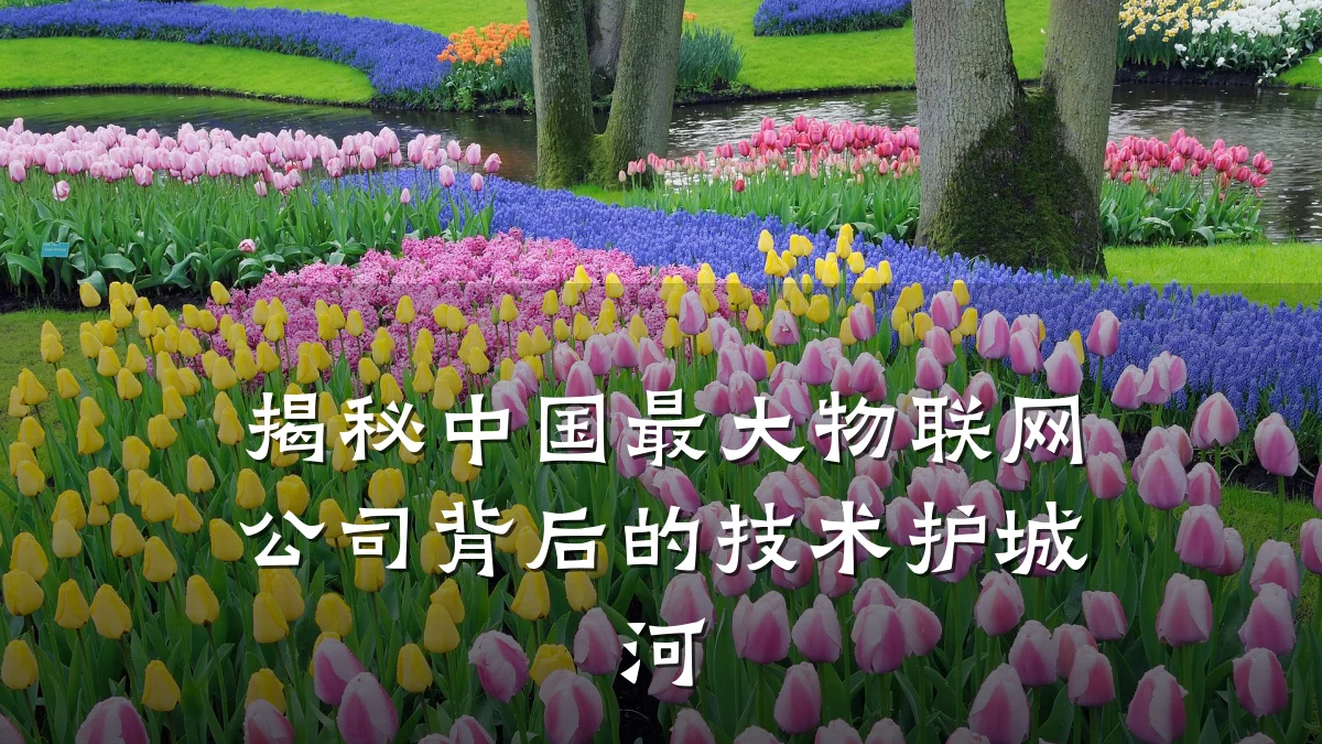 揭秘中国最大物联网公司背后的技术护城河