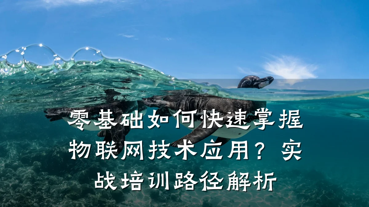 零基础如何快速掌握物联网技术应用？实战培训路径解析