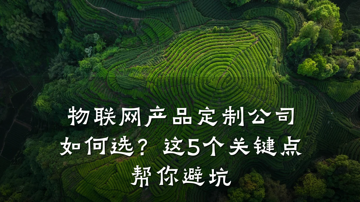 物联网产品定制公司如何选？这5个关键点帮你避坑