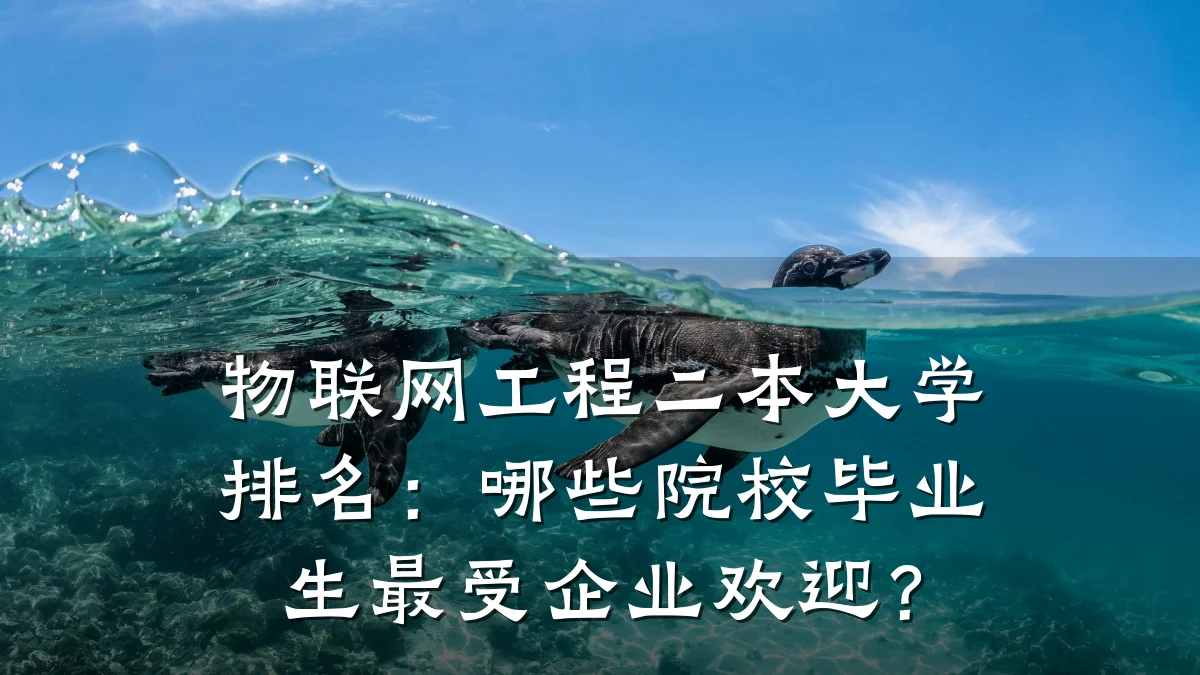 物联网工程二本大学排名：哪些院校毕业生最受企业欢迎？