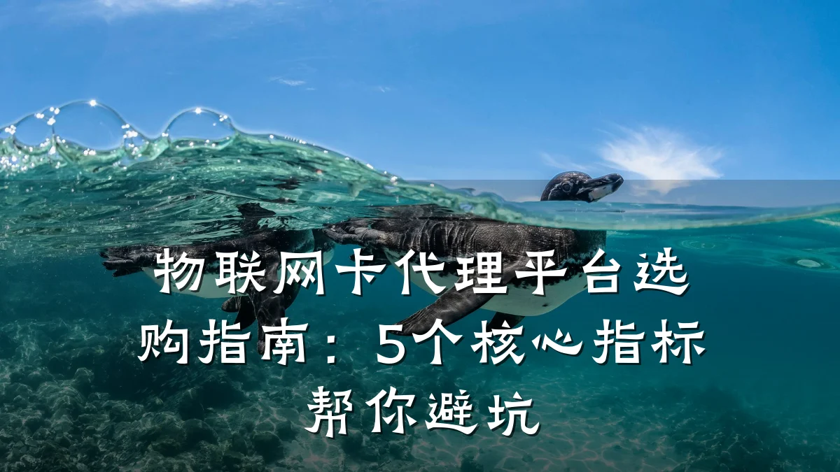 物联网卡代理平台选购指南：5个核心指标帮你避坑