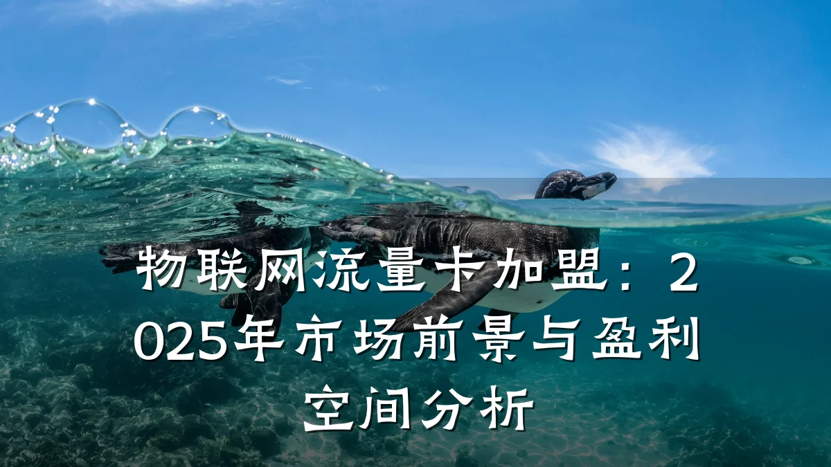 物联网流量卡加盟：2025年市场前景与盈利空间分析