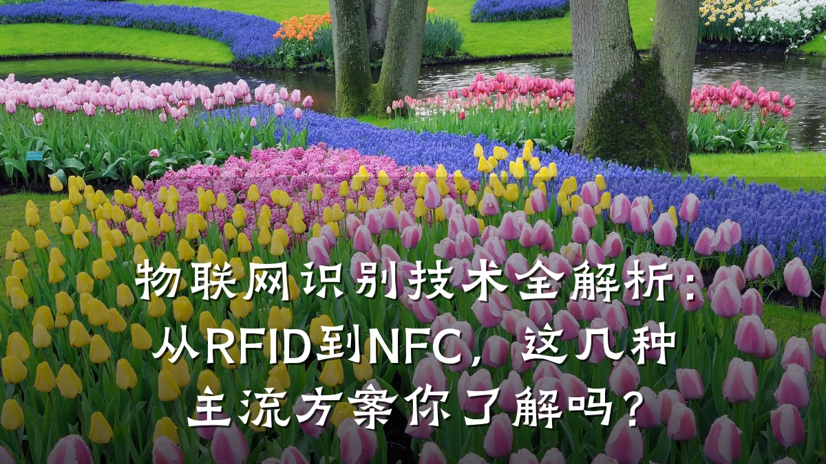 物联网识别技术全解析：从RFID到NFC，这几种主流方案你了解吗？
