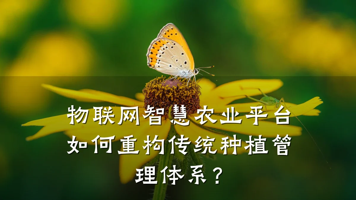 物联网智慧农业平台如何重构传统种植管理体系？