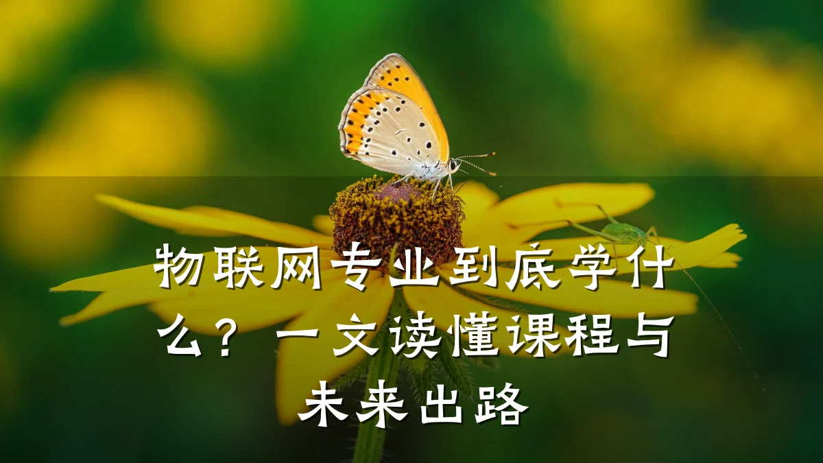 物联网专业到底学什么？一文读懂课程与未来出路