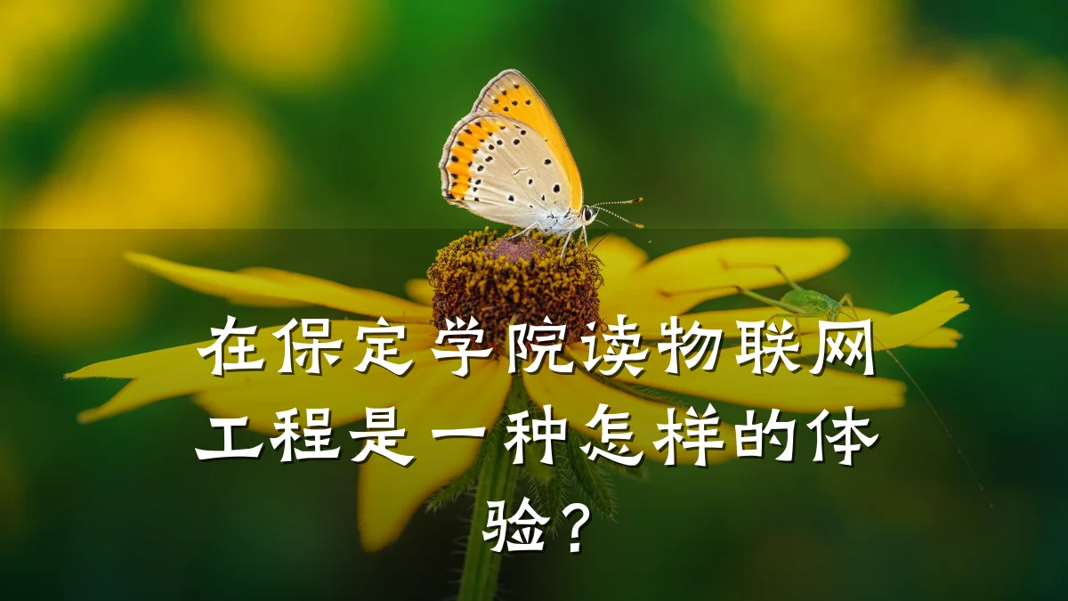 在保定学院读物联网工程是一种怎样的体验？