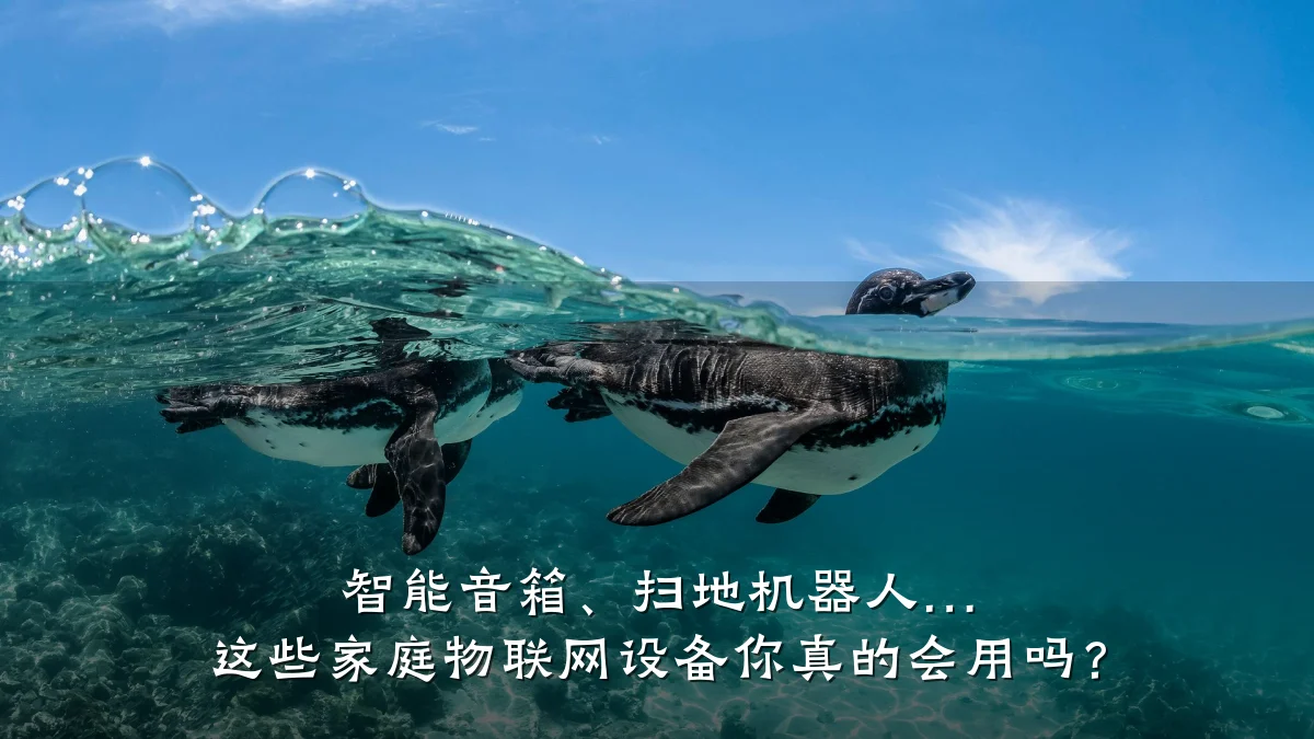 智能音箱、扫地机器人… 这些家庭物联网设备你真的会用吗？