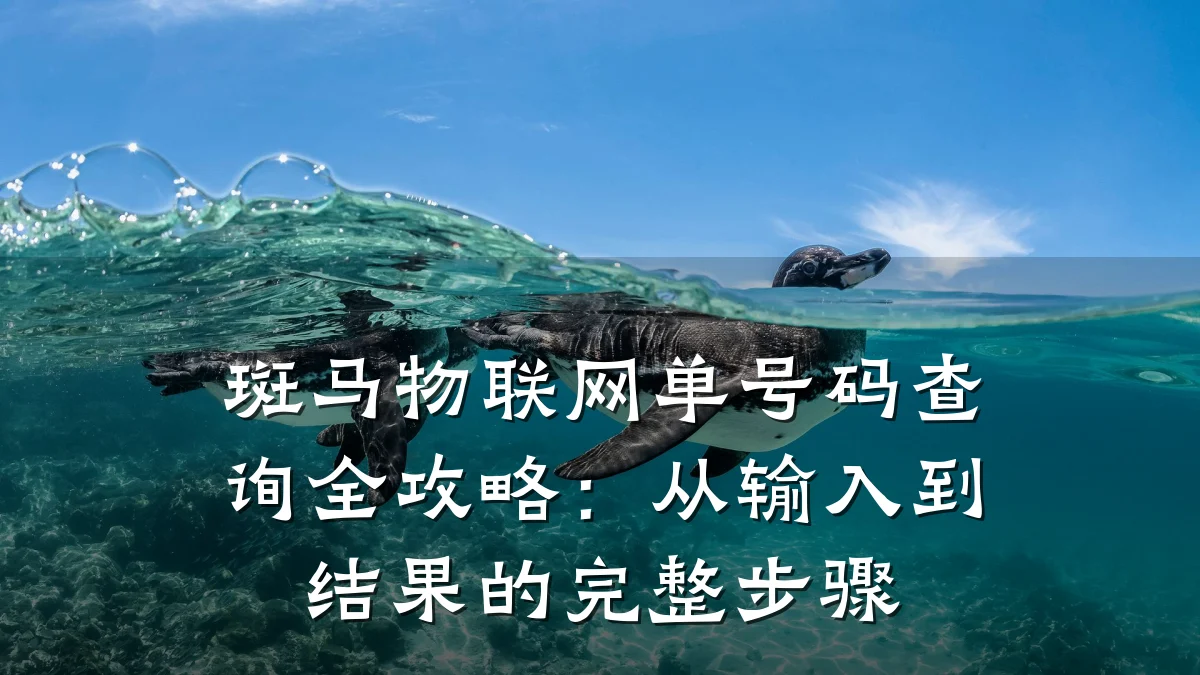斑马物联网单号码查询全攻略：从输入到结果的完整步骤
