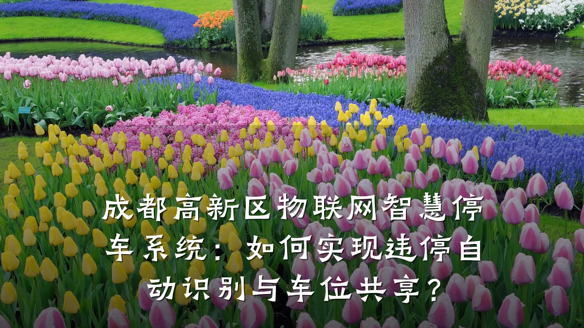 成都高新区物联网智慧停车系统：如何实现违停自动识别与车位共享？