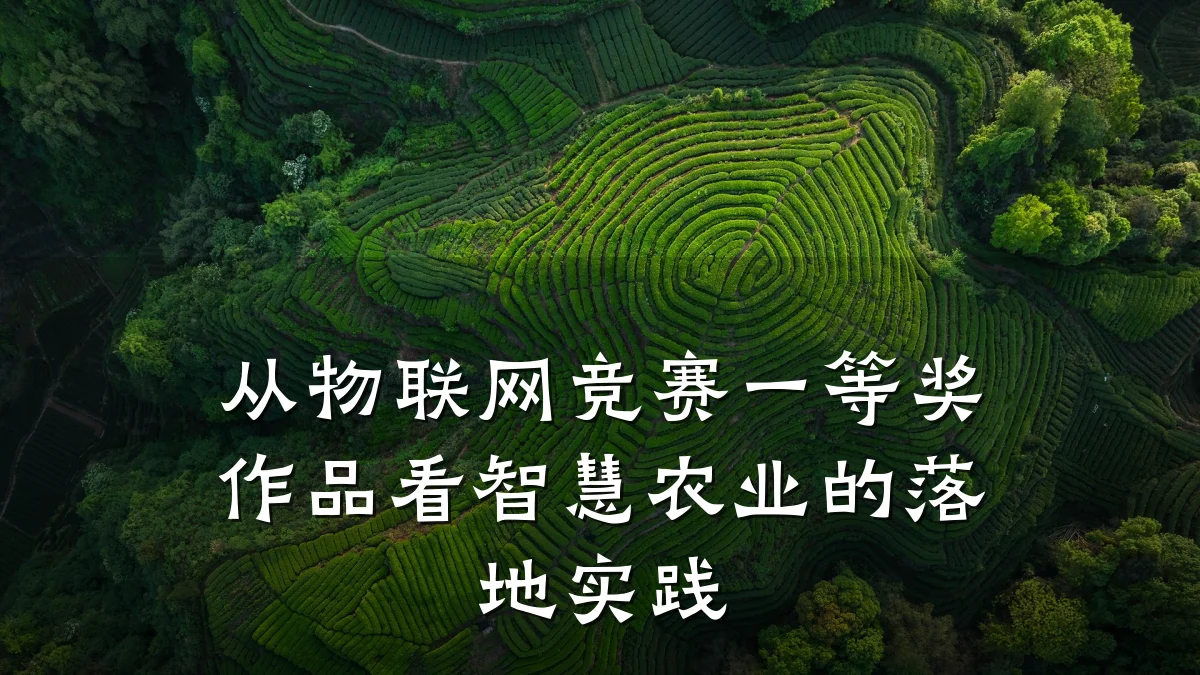 从物联网竞赛一等奖作品看智慧农业的落地实践