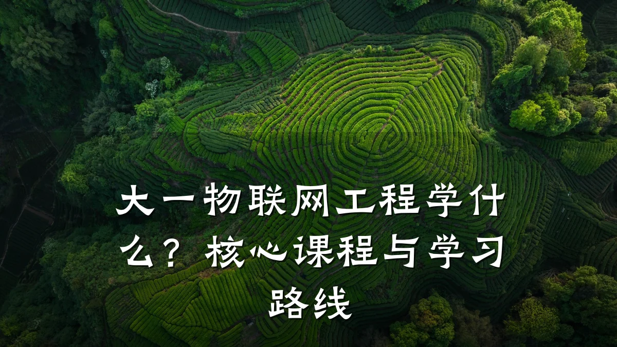 大一物联网工程学什么？核心课程与学习路线
