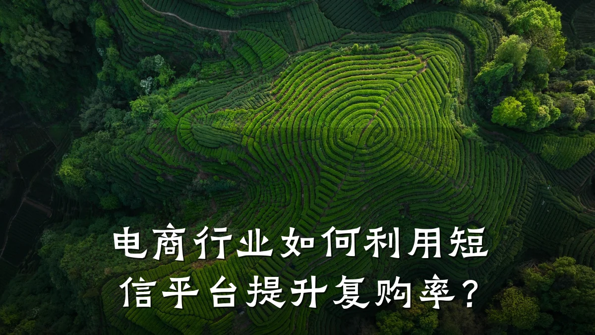电商行业如何利用短信平台提升复购率？