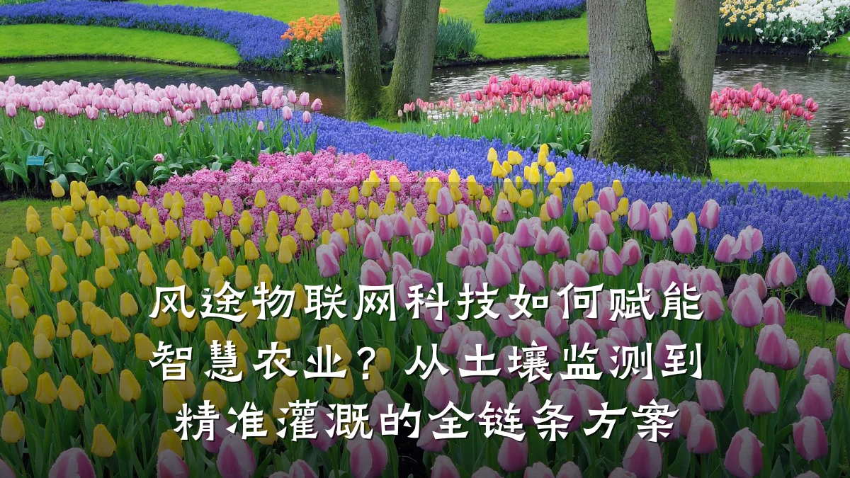 风途物联网科技如何赋能智慧农业？从土壤监测到精准灌溉的全链条方案