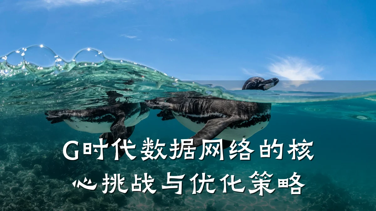 G时代数据网络的核心挑战与优化策略