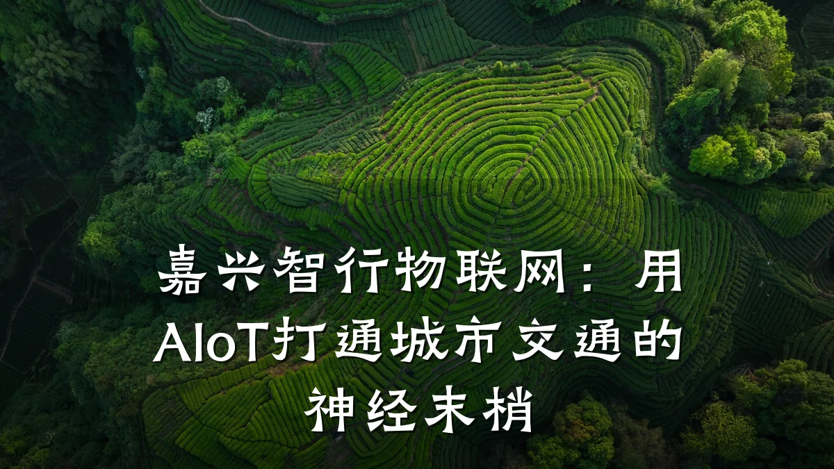 嘉兴智行物联网：用AIoT打通城市交通的神经末梢