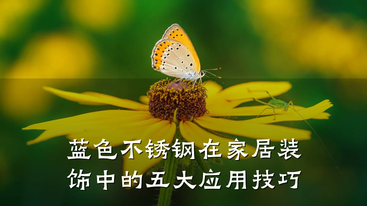 蓝色不锈钢在家居装饰中的五大应用技巧